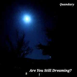 Are You Still Dreaming?