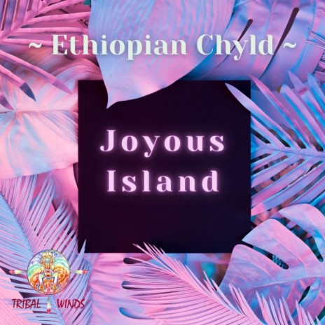 Joyous Island | Boomplay Music