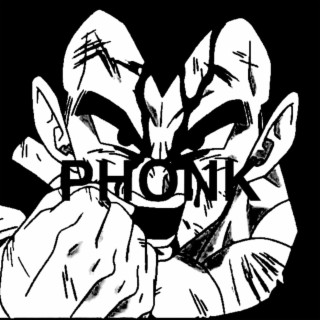 WARRIOR GYM (Phonk Vegeta)