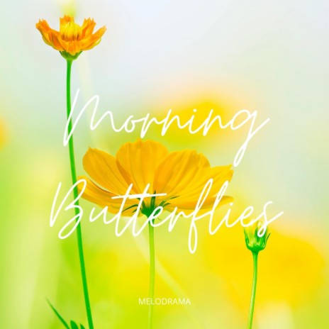 Morning Butterflies