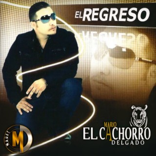 El Regreso