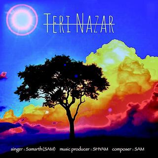 Teri Nazar