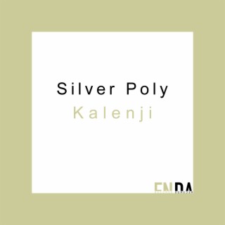 Silver Poly