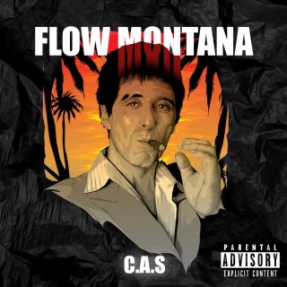 Flow Montana