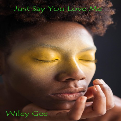 Just Say You Love Me | Boomplay Music