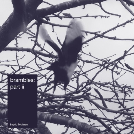 brambles: part ii | Boomplay Music