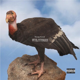 Vultures