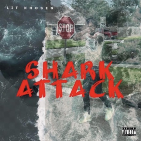 Shark Attack | Boomplay Music