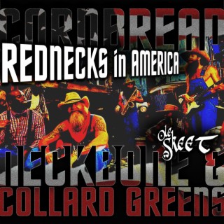 Rednecks in America