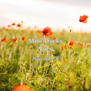 Mini Tracks, Vol. 6