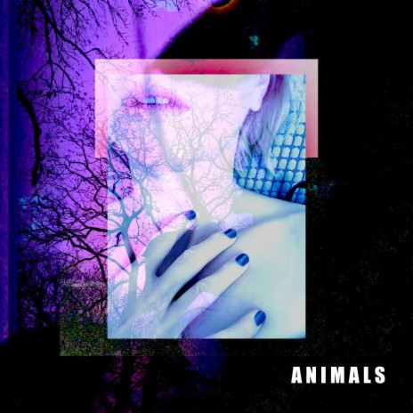 ANIMALS | Boomplay Music