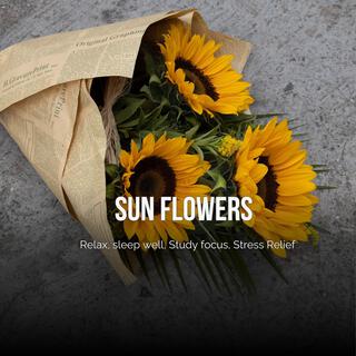 Sun flowers (Relaxing, Sleep well, Study focus, Stress Relief)