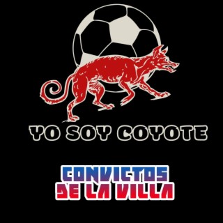 Yo Soy Coyote