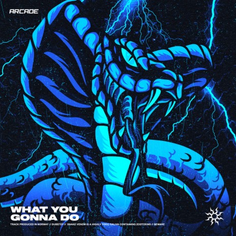 What You Gonna Do | Boomplay Music