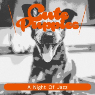 A Night of Jazz