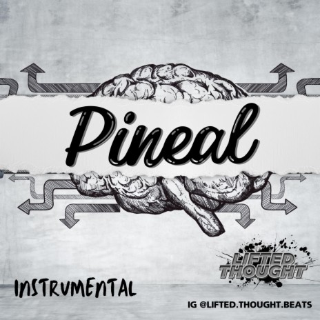 Pineal (Instrumental) | Boomplay Music