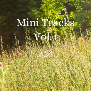 Mini Tracks, Vol. 4