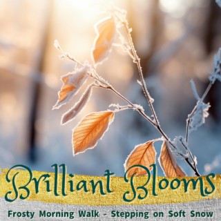 Frosty Morning Walk-Stepping on Soft Snow