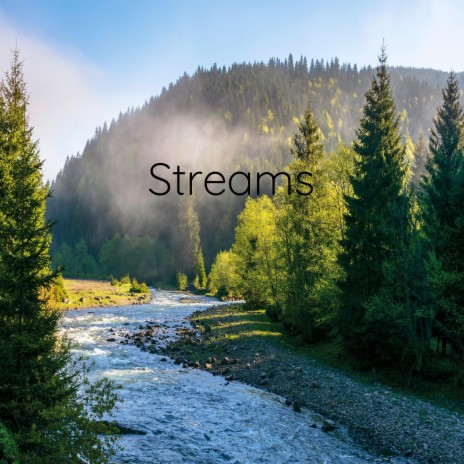 Streams | Boomplay Music