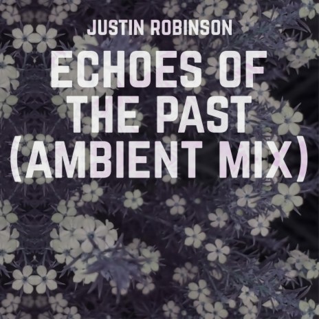 Echoes of the Past (Ambient Mix) | Boomplay Music