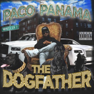 Paco Panama