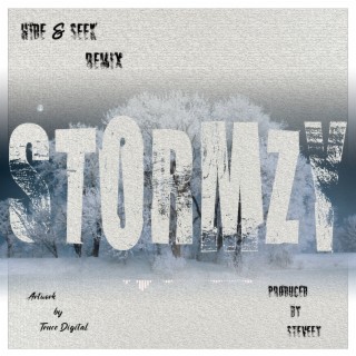 Hide & Seek - Stormzy Remix (prod by Steveey)