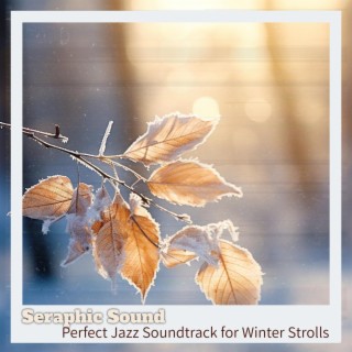 Perfect Jazz Soundtrack for Winter Strolls