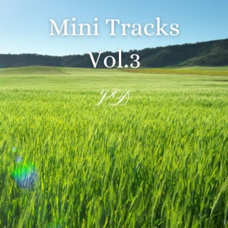 Mini Tracks, Vol. 3
