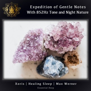 Expedition of Gentle Notes with 852Hz Tone and Night Nature