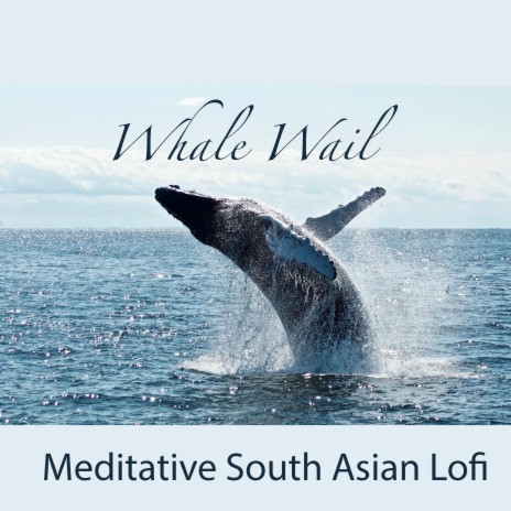 Whale Wail (Meditative Lofi)