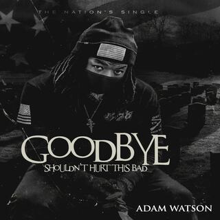 Goodbye Shouldn't Hurt This Bad: The Nations' Single ft. Stephanie Watson lyrics | Boomplay Music