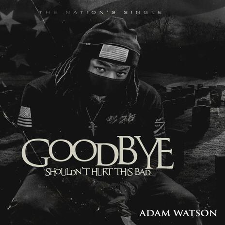 Goodbye Shouldn't Hurt This Bad: The Nations' Single ft. Stephanie Watson | Boomplay Music