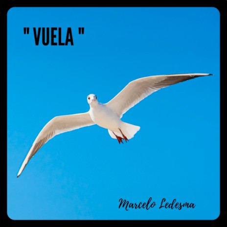 Vuela | Boomplay Music