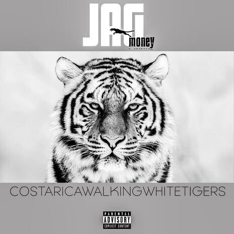 Costaricawalkingwhitetigers | Boomplay Music