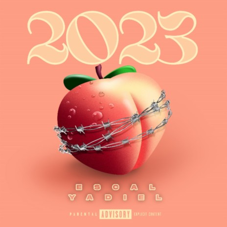 2023 | Boomplay Music