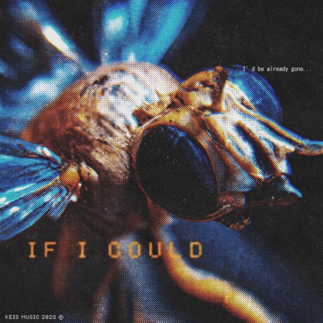 if i could fly | Boomplay Music