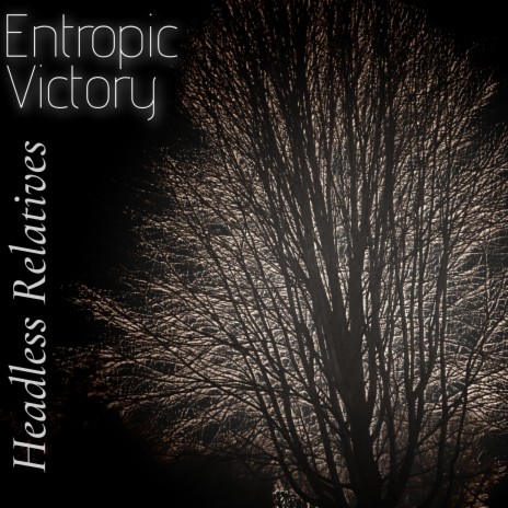 Entropic Victory | Boomplay Music