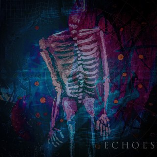 Echoes lyrics | Boomplay Music