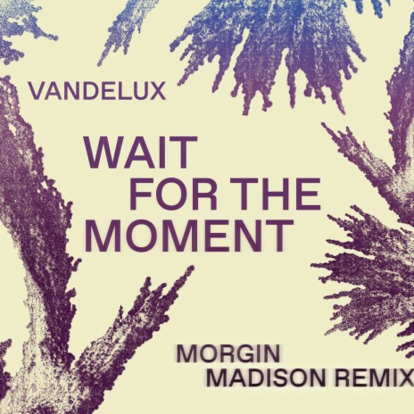 Wait For The Moment (Morgin Madison Remix) ft. BUZZ | Boomplay Music