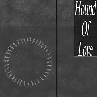 Hound Of Love