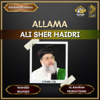 Allama Ali Sher Haidri