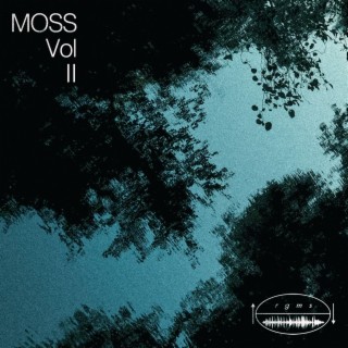 Meditation Objects, Supplements, And Sequences (MOSS) Vol. II