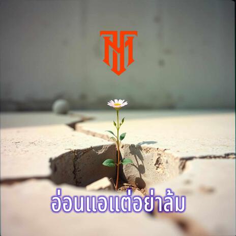 อ่อนแอแต่ไม่ล้ม | Boomplay Music