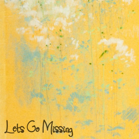 Lets Go Missing | Boomplay Music
