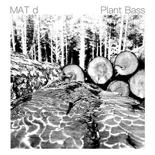 Plant Bass