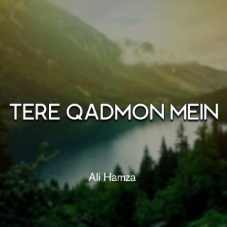 Tere Qadmon Mein