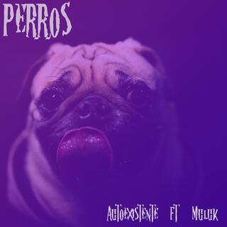 Perros