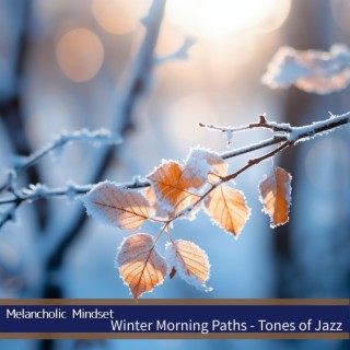 Winter Morning Paths-Tones of Jazz
