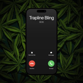 Trapline Bling lyrics | Boomplay Music