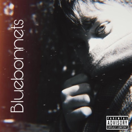 Bluebonnets | Boomplay Music